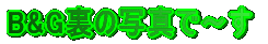 B&G���̎ʐ^�Ł`��