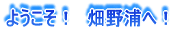 �悤�����I�@����Y�ցI