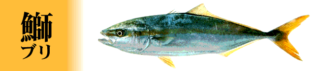 村松水産