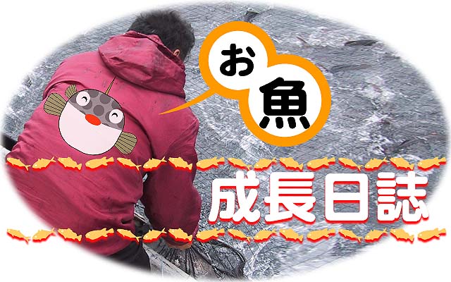�������Y