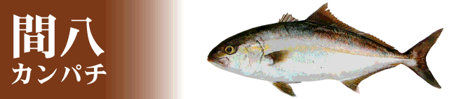 �������Y