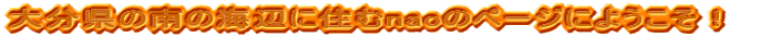 �啪���̓�̊C�ӂɏZ��nao�̃y�[�W��