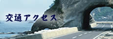 ʃANZX