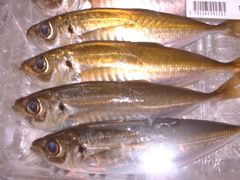 鮮魚類