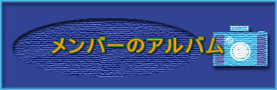 o[̃Ao 
