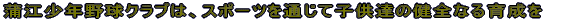 ]N싅NúAX|[cʂĎqB̌SȂ琬 