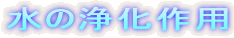 ̏򉻍p